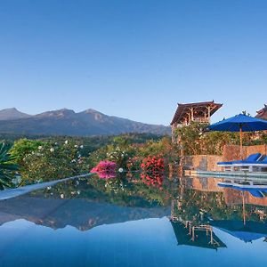 Rinjani Lodge